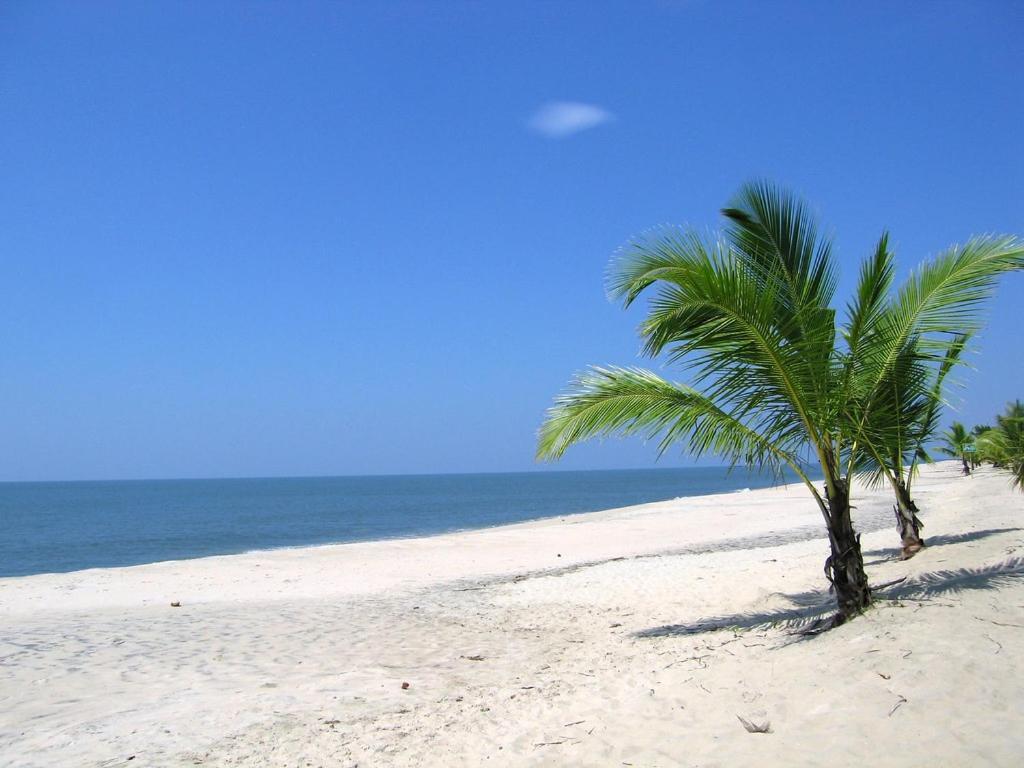Marari Felix Beach Homestay Mararikulam Kültér fotó